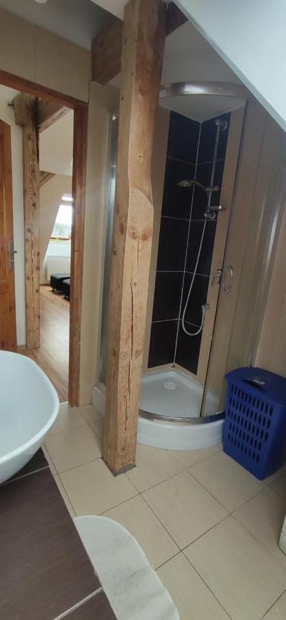 Apartament Gliwice Centrum Exteriér fotografie